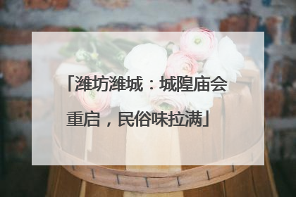 潍坊潍城：城隍庙会重启，民俗味拉满
