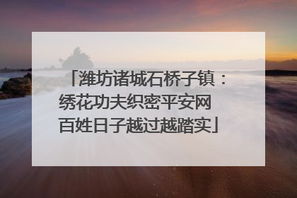 潍坊诸城石桥子镇：绣花功夫织密平安网 百姓日子越过越踏实