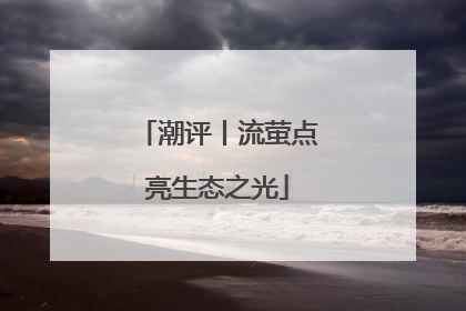 潮评丨流萤点亮生态之光