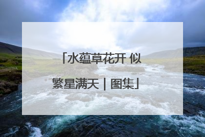 水蕴草花开 似繁星满天｜图集