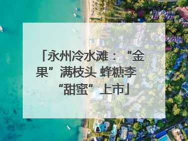永州冷水滩：“金果”满枝头 蜂糖李“甜蜜”上市