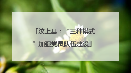 汶上县：“三种模式”加强党员队伍建设