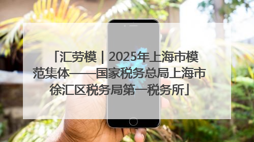 汇劳模｜2025年上海市模范集体——国家税务总局上海市徐汇区税务局第一税务所