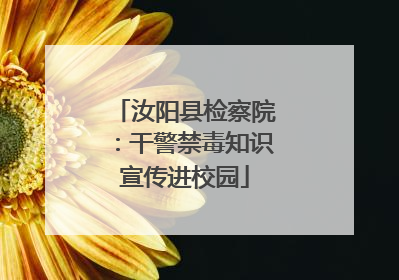 汝阳县检察院：干警禁毒知识宣传进校园
