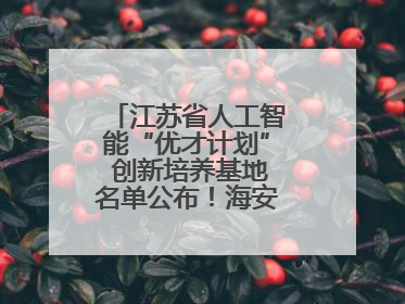 江苏省人工智能“优才计划” 创新培养基地名单公布！海安高级中学入选