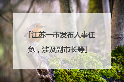 江苏一市发布人事任免，涉及副市长等