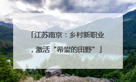 江苏南京：乡村新职业，激活“希望的田野”
