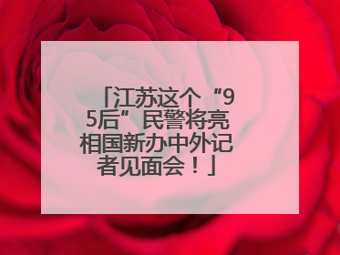 江苏这个“95后”民警将亮相国新办中外记者见面会！