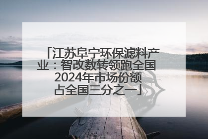 江苏阜宁环保滤料产业：智改数转领跑全国 2024年市场份额占全国三分之一