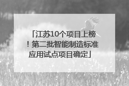 江苏10个项目上榜！第二批智能制造标准应用试点项目确定