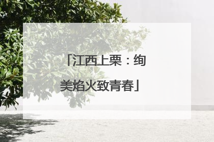 江西上栗：绚美焰火致青春
