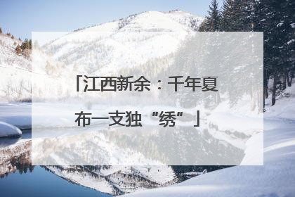 江西新余：千年夏布一支独“绣”