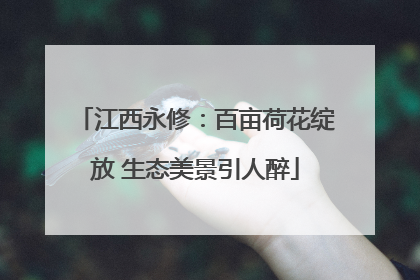江西永修：百亩荷花绽放 生态美景引人醉