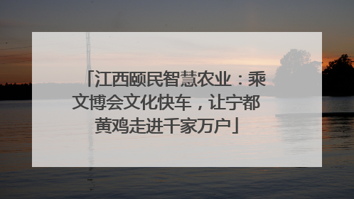 江西颐民智慧农业：乘文博会文化快车，让宁都黄鸡走进千家万户