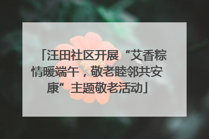 汪田社区开展“艾香粽情暖端午，敬老睦邻共安康”主题敬老活动