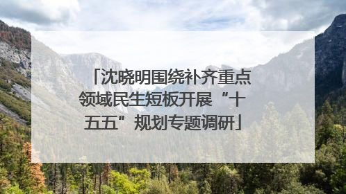沈晓明围绕补齐重点领域民生短板开展“十五五”规划专题调研