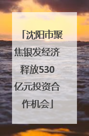 沈阳市聚焦银发经济释放530亿元投资合作机会