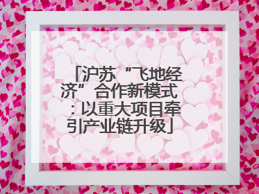 沪苏“飞地经济”合作新模式：以重大项目牵引产业链升级