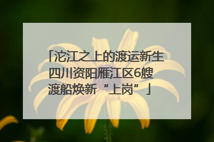 沱江之上的渡运新生 四川资阳雁江区6艘渡船焕新“上岗”