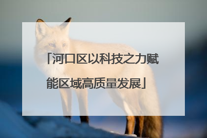 河口区以科技之力赋能区域高质量发展