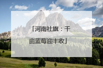 河南社旗：千亩蓝莓迎丰收