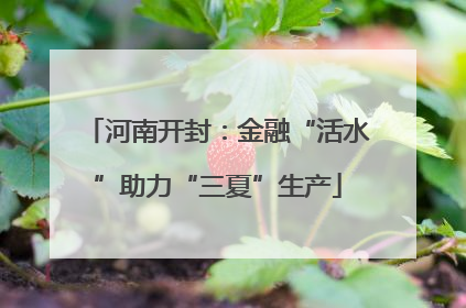河南开封：金融“活水”助力“三夏”生产