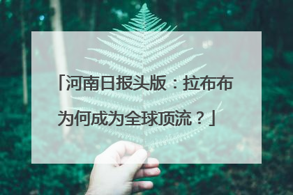 河南日报头版：拉布布为何成为全球顶流？