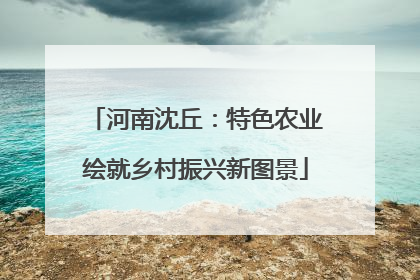 河南沈丘：特色农业绘就乡村振兴新图景