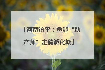 河南镇平：鱼卵“助产师”走俏孵化期