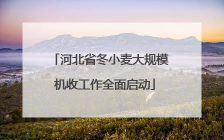 河北省冬小麦大规模机收工作全面启动