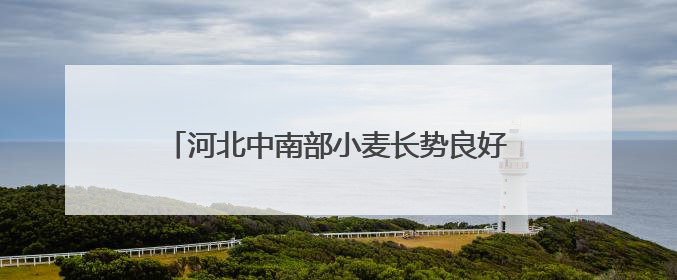 河北中南部小麦长势良好 积极应对干热风挑战