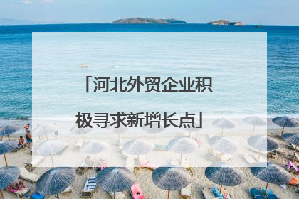 河北外贸企业积极寻求新增长点