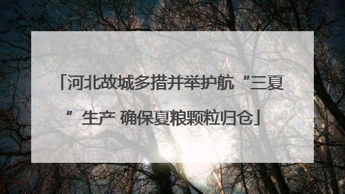 河北故城多措并举护航“三夏”生产 确保夏粮颗粒归仓
