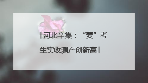河北辛集：“麦”考生实收测产创新高