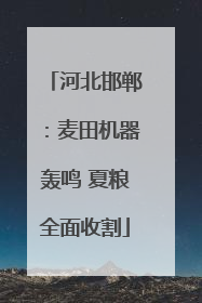 河北邯郸：麦田机器轰鸣 夏粮全面收割