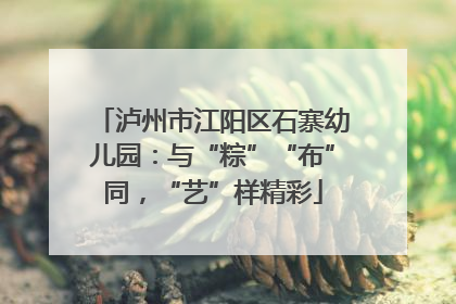 泸州市江阳区石寨幼儿园：与“粽”“布”同，“艺”样精彩