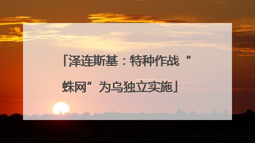 泽连斯基：特种作战“蛛网”为乌独立实施