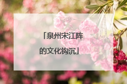 泉州宋江阵的文化钩沉