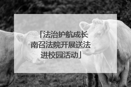 法治护航成长 南召法院开展送法进校园活动