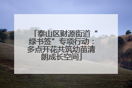 泰山区财源街道“绿书签”专项行动：多点开花共筑幼苗清朗成长空间