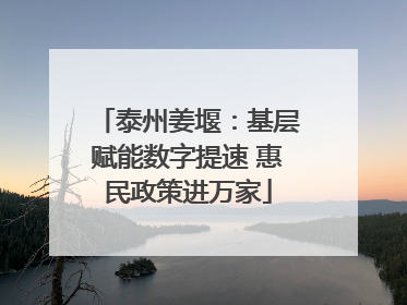 泰州姜堰：基层赋能数字提速 惠民政策进万家