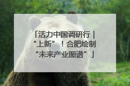 活力中国调研行｜“上新”！合肥绘制“未来产业图谱”
