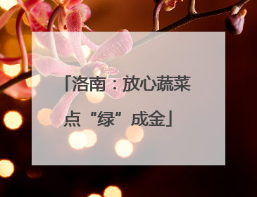 洛南：放心蔬菜点“绿”成金