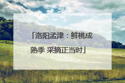 洛阳孟津：鲜桃成熟季 采摘正当时