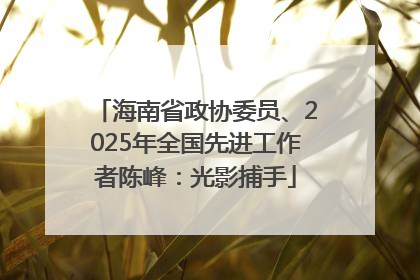 海南省政协委员、2025年全国先进工作者陈峰：光影捕手