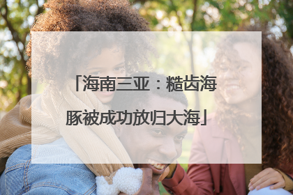 海南三亚：糙齿海豚被成功放归大海