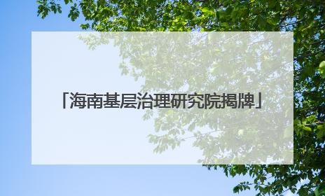 海南基层治理研究院揭牌