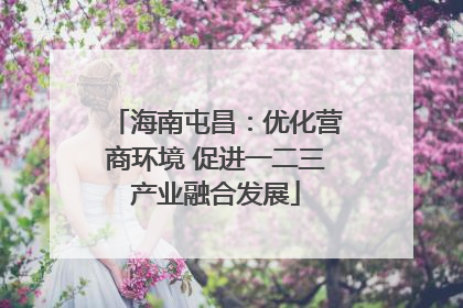 海南屯昌:优化营商环境 促进一二三产业融合发展