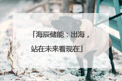 海辰储能：出海，站在未来看现在