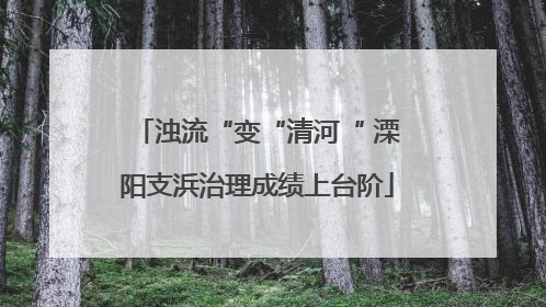 浊流“变“清河“ 溧阳支浜治理成绩上台阶